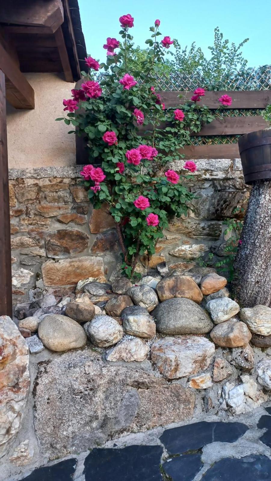 Casa Del Cura Pensionat Rozas Exteriör bild